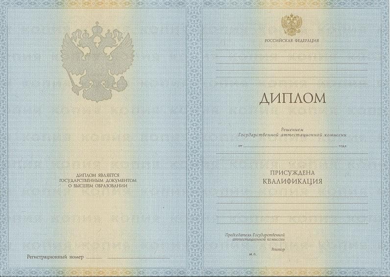 Диплом педагога 2011-2013 года